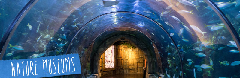 Nature Museums