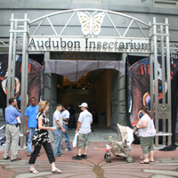 Audubon Butterfly Garden and Insectarium | New Orleans | Attraction - If it walks, crawls or flies, there's a good chances you will see it on display at the   Audubon Butterfly Garden and Insectarium in the Old New Orleans CustomsÂ ...