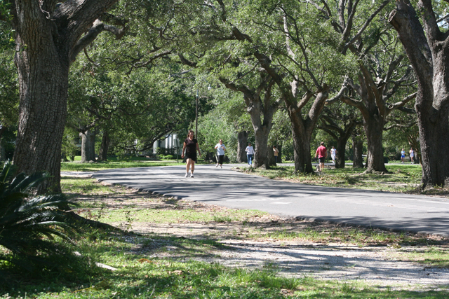 audubon park new orleans attraction golf trip planner