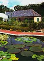 New Orleans Botanical Garden