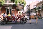 New Orleans Horse and Carriage Tours