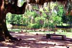 New Orleans City Park