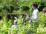 New Orleans Garden Tours