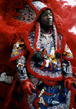 Mardi Gras Indian