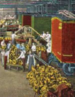 New Orleans imported bananas from Central America to distribute across the US
