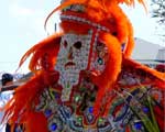Mardi Gras Indian