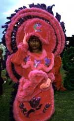 Mardi Gras Indian