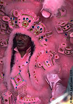 Mardi Gras Indian