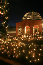Christmas New Orleans Style Calendar