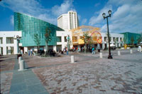 The Aquarium of the Americas