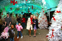 Miracle on Fulton Street