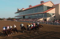 Horse Racing at the Fair Grounds