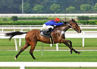 Horse Racing at the Fair Grounds