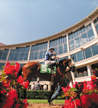 Horse Racing at the Fair Grounds