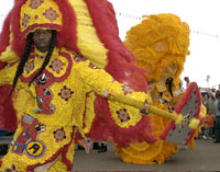 Mardi Gras Indian