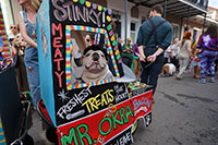 Mardi Gras: A Great Family Trip!
