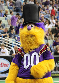 New Orleans Voodoo Arena Football