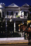 Horse Carriage in Front of Cornstalk Fence 