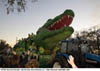 The Alligator Superfloat in the Bacchus Parade