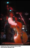 Bass Player on Bourbon Street