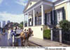 Horse and Carriage in Front of the Beauregard-Keyes House