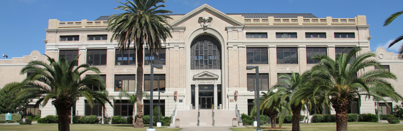 Delgado Community College | New Orleans | Organization