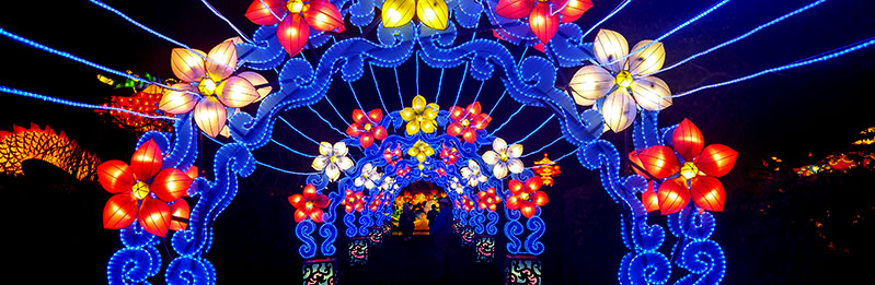 china lights at new orleans city park