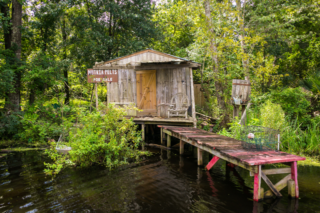 jean lafitte swamp and airboat tours new orleans tour