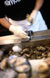 Oyster Shucker at Remoulade Restaurant 