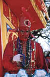 Masked Rider in a Mardi Gras Parade