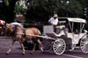 Horse and Carriage