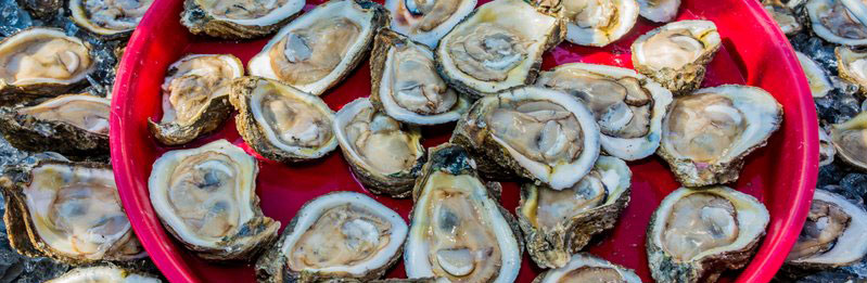 Free Good Times Guide to New Orleans